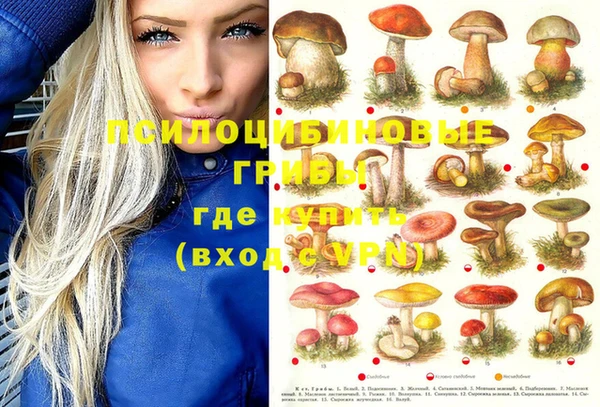 альфа пвп Белокуриха
